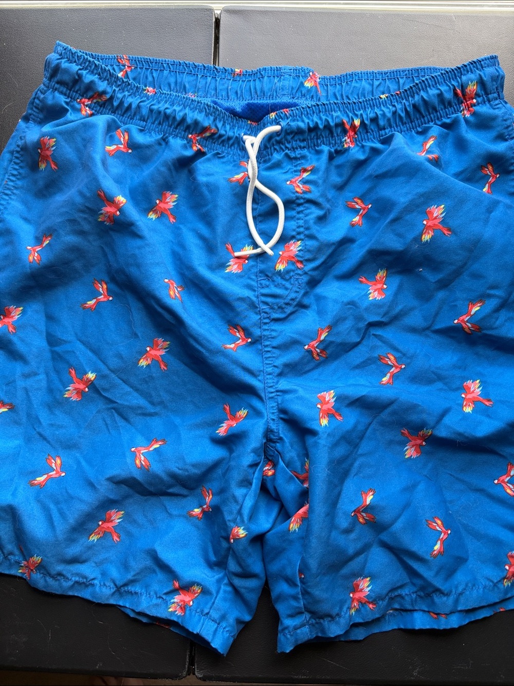 Old Navy Blue Swim Trunks with Red Parrot Print